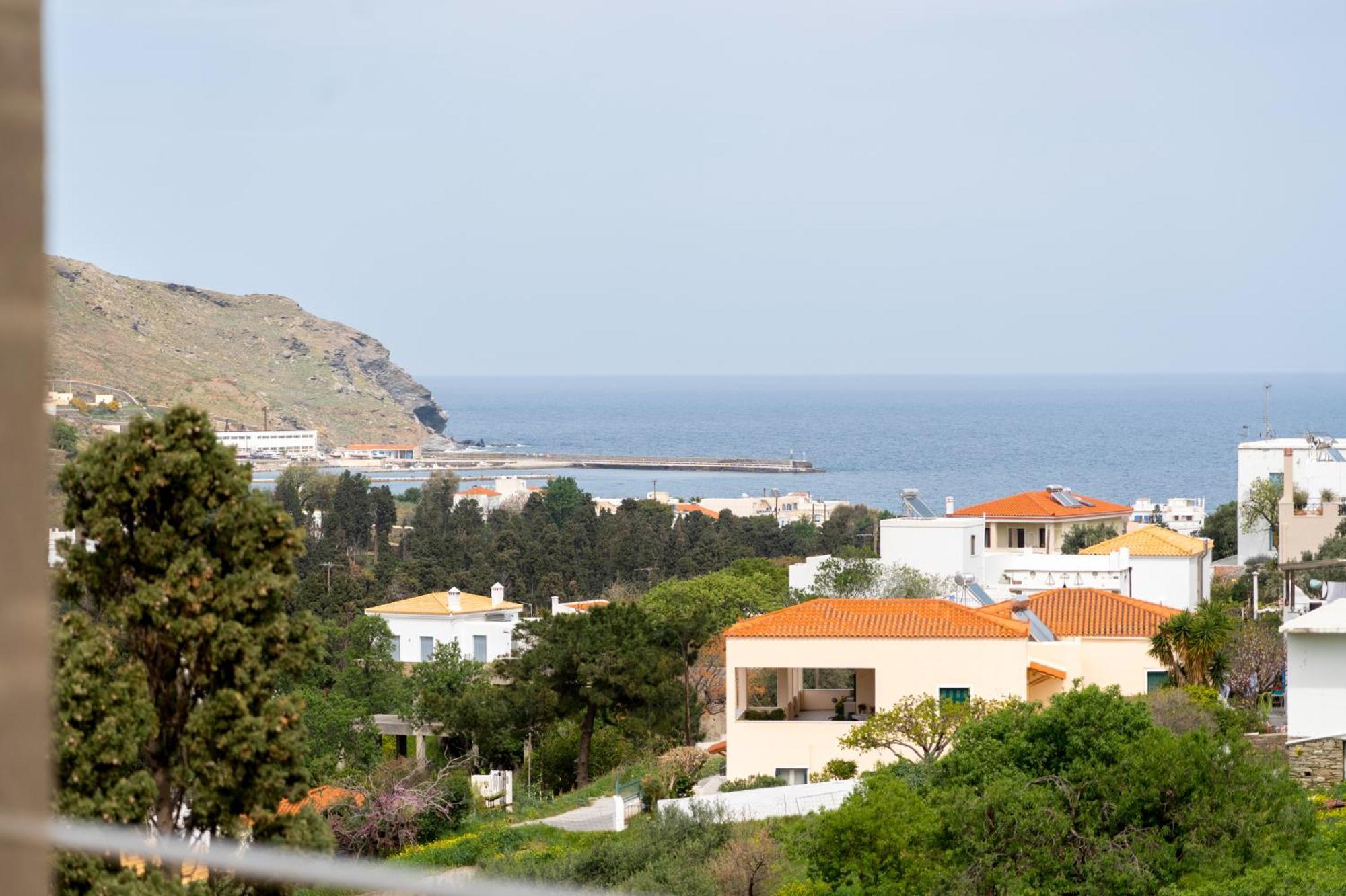 Villa Suitehome With Private Pools By Explore Andros Town